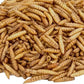 Dried Black Soldier Fly Larvae, 100% Natural, Non-GMO, High-Protein Treats for Chickens, Layer Hens, Wild Birds, Ducks, 13.3 oz, Pack of 4