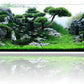 Fzone 80 Gal Rimless Low Iron Fish Tank Nova Clear Ultra-White 45° Mitered Edges Translucent Glass Anata Series Aquarium w/Black Foam Leveling Mat(S120-W50)
