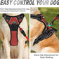 BARKBAY No Pull Dog Harness Front Clip Heavy Duty Reflective Easy Control Handle for Large Dog Walking(Rio Red,M)