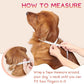 Supet Inflatable Dog Cone Collar Alternative After Surgery, Doggie Neck Donut Collar Recovery ECollar for Post Surgery, Soft Dog Cone for Small Medium Puppies Cats
