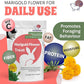 Snout and Shell Marigold Flower Treat for Small Pets – Organic, Healthy Digestive Support – Fun Foraging Snack for Rabbits, Guinea Pigs, Chinchillas, and More – 0.5 oz / 14g