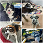 Dog Goggles Anti-UV Windproof Dog Sunglasses Eye Protection for Medium Large Dogs with Adjustable Straps/Clear Lense