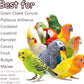 Nut Perch Stand with Interchangeable Materials – Natural, Safe Bird Playset for Beak Exercise & Mental Stimulation