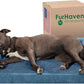 Furhaven Orthopedic Dog Bed for Large/Medium Dogs w/ Removable Bolsters & Washable Cover, For Dogs Up to 55 lbs - Faux Fur & Velvet Sofa - Harbor Blue, Large