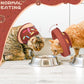 EXPAWLORER Cat Recovery Cone Collar- Soft Adjustable Pet Collar for After Surgery, Waterproof Elizabethan Protective Collar, Stop Licking Donut for Small Medium Kittens