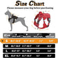 rabbitgoo Dog Harness Small Sized No Pull, Tactical Service Pet Vest with Molle and Control Handle, Adjustable and Reflective Military Harness for Easy Walking and Training, Red, S