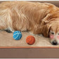 BFPETHOME Washable Large Dog Bed, Big Couch Bed with Removable Washable Cover, Orthopedic Egg-Crate Foam & Waterproof Lining