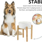 Ceramic Elevated Dog Bowl Set - Large Breed Dog Food and Water Bowl, Weighted Dishes (8.2'', 60OZ, White)