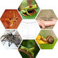 Magnetic Acrylic Case, micro habitat small Tarantula Enclosure enclosure for arboreal Tarantula Scorpion Sling Lizards Mantis Snake Gecko jumping spider snail Insect Isopods (4.7*4.7*7.8 inch)