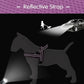 Didog No Pull Dog Harness with Soft Mesh Padded,Reflective & Quick Fit Light Weight Dog Strap Vest Harness,Easy for Walking Training (XS:Chest 15-18", Purple)