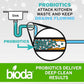 Bioda Multi-Purpose Probiotic Enzyme Cleaner and Deodorizer | Professional Strength | Trash Can Deodorizer, Pet Stains and Odors, Drains, Floors, Bathrooms, Toilets | Made in USA | 1 Gallon