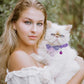 16 PCS Cute Cat Collars Breakaway with Bell for Boy Cats and Girl Cats Gifts (#2-Multicolor Lace)
