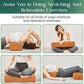 Premium Crushed Sponge Yoga Bolster Pillow for Yin Yoga, Restorative & Meditation - Rectangular Cushion