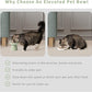 Extra Wide Elevated Ceramic Cat Bowl, 6.2" Shallow Dish for Whisker Fatigue Relief, 5" Height for Easy Feeding, Durable Raised Cat Food Bowls, Pack of 2, Sage Green