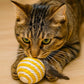 Ball for cat with Feathers - Balls for Cats – Natural Toy for Indoor Cats – Eco-Friendly, Durable, Interactive Play Balls for Kittens – Pet-Safe Chew & Scratch Toys (Yellow)