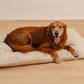 FUNNY FUZZY Washable Dog Bed,Reversible Plush Dog Crate Mat, Soft Fluffy Kennel Pad,Pet Sleeping Mattress for Jumbo,X-Large Sized Dogs Breeds,2XL,48"× 31",Beige