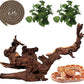 Hamiledyi Reptile Driftwood Decoration Natural Coral Driftwood Branches for Aquarium Reptiles Trunk Log Ornament Bendable Jungle Climbing Vines Decor for Bearded Dragon Lizad Amphibian Fish Tank