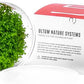Ultum Nature Systems Dwarf Baby Tears Hemianthus Callitrichoides Cuba Tissue Culture Live Plant for Aquarium, Aquascape, Planted Freshwater Fish Tanks - 100% Snail Free in Vitro