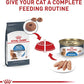Royal Canin Feline Weight Care Loaf in Sauce Canned Adult Wet Cat Food, 3 oz cans 24-count