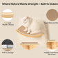 Cat Wall Shelves with Sisal Pads, 4-Piece Wooden Cats Furniture Set with Cat Window Perch, Flat Shelf & Sisal-Clad Steps for Climbing and Scratching