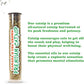 Meowijuana Birthjays Bundle | Birthjays Catnip Joints and Get Lit Cake Refillable Toy | Hand Harvested and Rolled Dried High Potency Catnip | Grown in North America