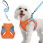 rabbitgoo Dog Harness Small Sized and Leash Set, Step in Soft Light Puppy Vest, Breathable Mesh Pet Harness, Reflective for Safe Easy Walking, Blue & Orange M
