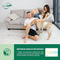 IMMCUTE Dog Diapers Male Large 50 Ct, Disposable Male Dog Wraps with Wetness Indicator, Super Absorbent Puppy Diapers Male, Comfortable Doggie Diapers for Excitable Urination, Incontinence