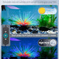 Pawfly 11W Aquarium LED Light for 12 to 18 Inch Fish Tanks Extendable Fish Tank Light with Full Spectrum Brilliant White Blue Red Lights with Daytime & Night Modes and Adjustable Brightness