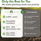HOME GROWN 12 Winter Vegetable Seeds 𝗡𝗢𝗡-𝗚𝗠𝗢 Heirloom,Fall & Winter Vegetable Seeds for Planting Home Garden: Bean, Beet, Broccoli, Cabbage, Carrot, Cauliflower, Kale,Parsnip,Squash,Chard & More