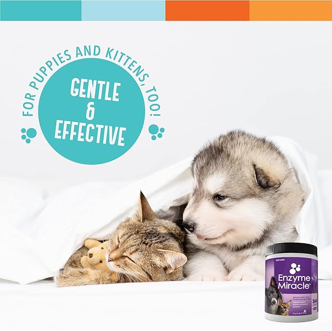 Digestive Enzymes for Dogs & Cats : Protein, Carbs, Starches & Fats Digestion : Supports Diet Change : Enzyme Miracle (364 Scoops, Powder)