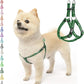 PUPTECK No Pull Dog Harness Soft Adjustable Basic Nylon Step in Puppy Vest Outdoor Walking with ID Tag, Moon Star Green, S
