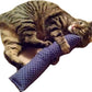 15" Cat Kicker Toy with Refillable Catnip Pocket (Navy) - Filled with Premium Canadian Catnip
