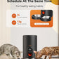 WOPET Automatic Cat Feeders 2 Cats-Timed Cat Feeder with Stainless Steel Bowl, Programmable 1-6 Meals Control, Dual Power Supply Auto Pet Feeder for Cats and Dogs