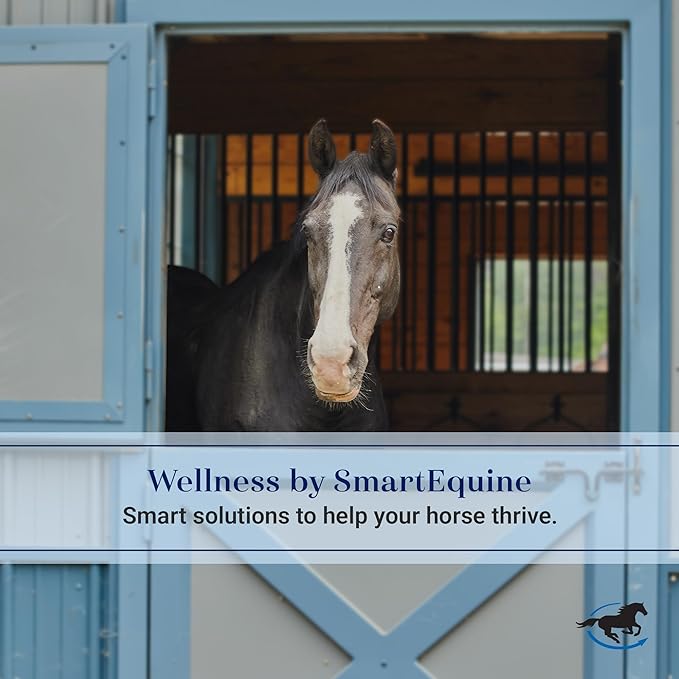 SmartEquine Fly Mask with UV Protection, Ears, and Mesh | Wide Secure Closure | UV Fly Mask for Horses (Cob)
