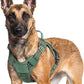 rabbitgoo Dog Harness for Large Dogs No Pull, Tactical Service Pet Vest with Molle and Control Handle, Adjustable and Reflective Military Harness for Easy Walking and Training, Green, XL