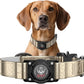Airtag Dog Collar - Leather Dog Collar with Airtag Holder| IP68 Waterproof AirTag Holder with Metal Buckle, Comfortable GPS Dog Collars Tracker for Medium Large Dogs (Champagne Gold, XL)