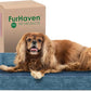 Furhaven Cooling Gel Dog Bed for Medium/Small Dogs w/ Removable Bolsters & Washable Cover, For Dogs Up to 35 lbs - Faux Fur & Velvet Sofa - Harbor Blue, Medium