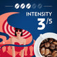 Lavazza Dolcevita Classico Whole Bean Coffee 12oz Bag, Medium Roast, Rich and Full-bodied, Intensity 3/5, Arabica and Robusta, Ideal for Drip Brewers, (Pack of 1) - Package May Vary