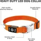 PetIsay LED Dog Collar Metal Buckle - Heavy Duty Light up Collars - Rechargeable IP68 Waterproof - Lighted Dog Collar for Night Walking, Hiking, Camping (Medium, Orange)
