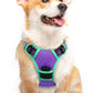 Eagloo Dog Harness for Large Dogs, No Pull Service Vest with Reflective Strips and Control Handle, Adjustable and Comfortable for Walking, No Choke Harness with 2 Metal Rings, Purple & Green, M