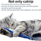 6 PCS Cat Fish Toy Soft and Durable,Cat nip Toy with Catnip Inside, Kicker Toys for Indoor Kitten Exercise,Kitty Teething Chew Toy (6 Sauries)