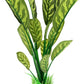 ALEGI Silk Aquarium Plants, 12 Inch Artificial Silk Plants Decorations for Fish Tank,Aquarium Décor Plastic Plants (Green with Stripes, 2 Pack)