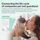 Dr.by Cat Breath Bronchial Supplements Cat Sneezing Treatment Asthma Cold Cough Nose Relief Respiratory&Immune Support with TF-343-30 lickable Formula Individually Packaged, Chicken (1 Pack (8.5OZ))