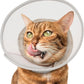 Cat Cone Collar Soft: Comfortable Waterproof Mesh Recovery Cone After Surgery to Stop Licking and Scratch, Alternative to Plastic Elizabeth Head/Neck Cone