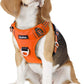 Funfox Dog Harness No Pull, Adjustable Pet Vest Harness, Super Soft Material with Vertical Handle Easy Control, Reflective Night Walking, 2 Leash Clips for Small Sized Dogs, Orange, S