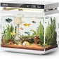 Fish Tank Smart Aquarium Kit: URUQ 2 Gallon Self Cleaning Multi-Layer Filtration System Silent Pump - UHD Glass 7-Color Lighting Temperature Monitoring - Fragrance Diffuser Humidifier White