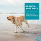 Snagle Paw Heavy Duty Long Dog Leads for Yard 150FT-1000LBS Break Strength,Dog Tie Out Cable with Swivel Lockable Hook & Spring,Chew Proof Dog Chain for Outside,Dog Run Cable for Medium Large Dogs