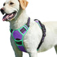 Eagloo Dog Harness for Large Dogs, No Pull Service Vest with Reflective Strips and Control Handle, Adjustable and Comfortable for Walking, No Choke Pet Harness with 2 Metal Rings, Purple & Green, L
