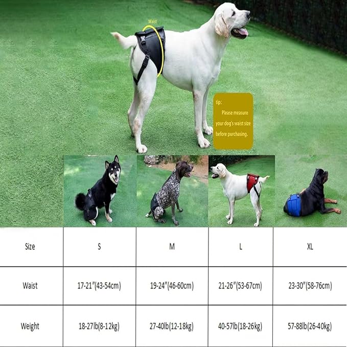 Dog Lift Harness for Dogs with Disabled Arthritis and Weak Back Legs, humanized Design with Comfortable Materials, Adjustable Back Legs and Straps, Suitable for Helping Dogs to Recover and Walk. (L)