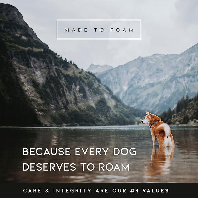 MADE TO ROAM Premium Explorer Harness - Y-Shaped Dog Harness with Adjustable Durable Nylon, Soft Padding, Metal Buckles and Leather Handle for Small, Medium, Large Dogs (Oregon Haze, Size 7)